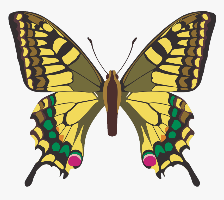 Butterfly Clip Art Png, Transparent Png