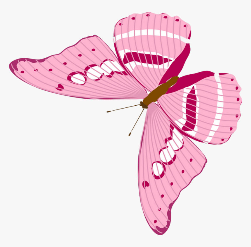 Butterfly, HD Png Download