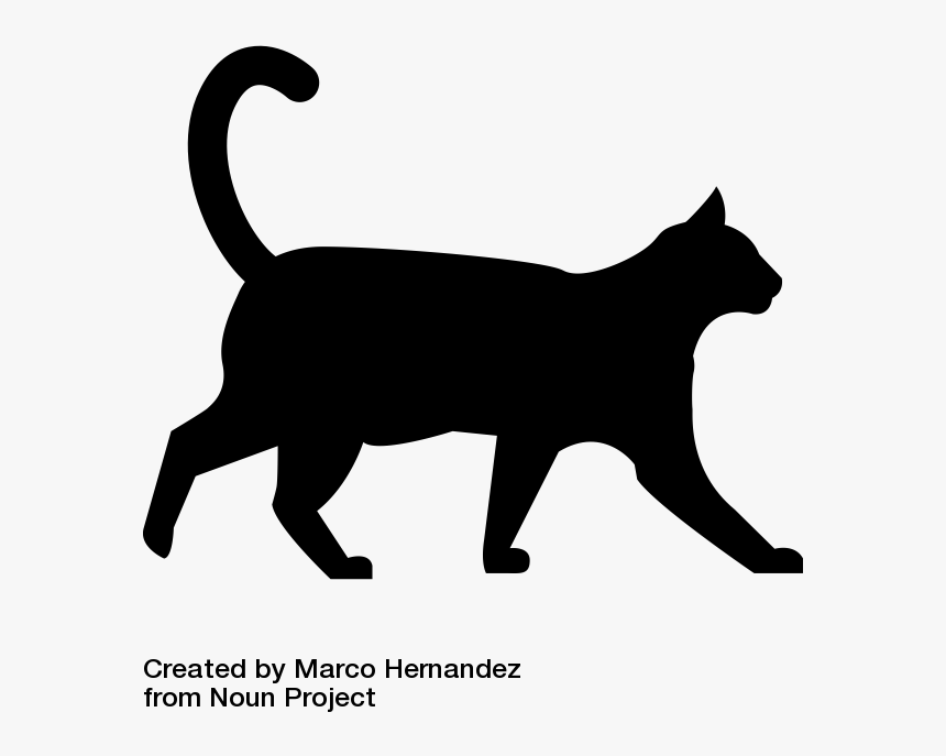 Black Cat Walking With White Background, HD Png Download