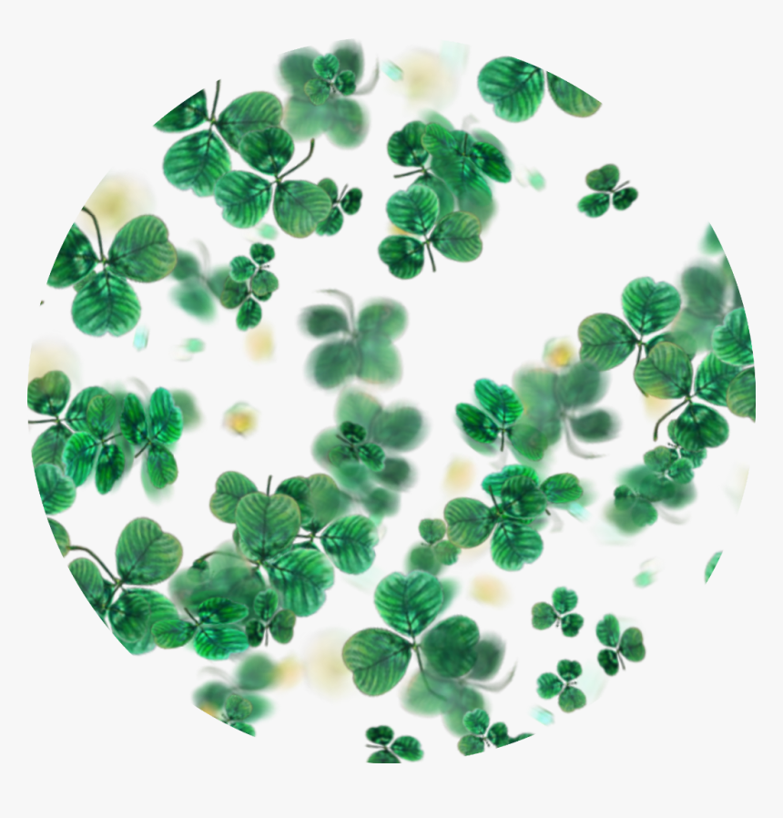 #clovers #green #circle #background ☘️ #freetoedit - Craft, HD Png Download