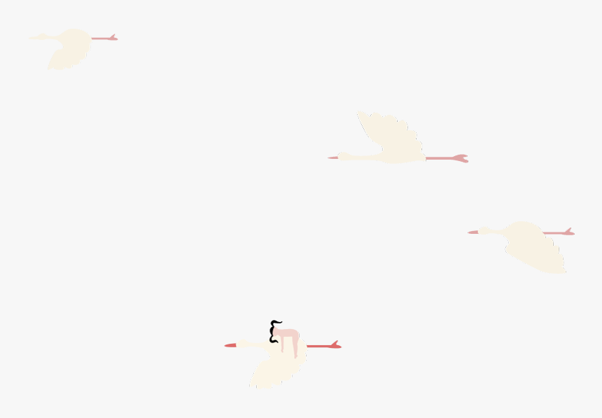 Birds - Water Bird, HD Png Download