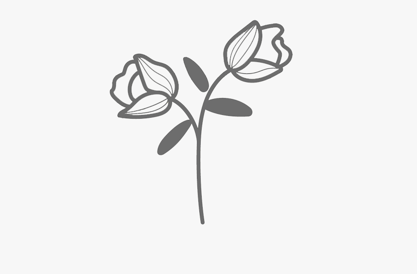Plants, HD Png Download