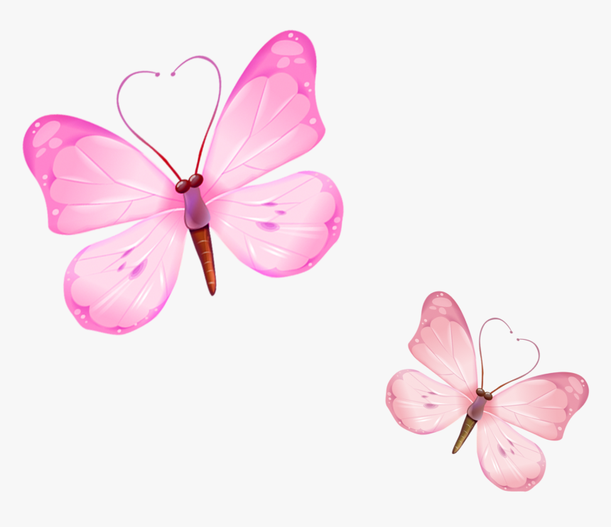 Butterfly, HD Png Download
