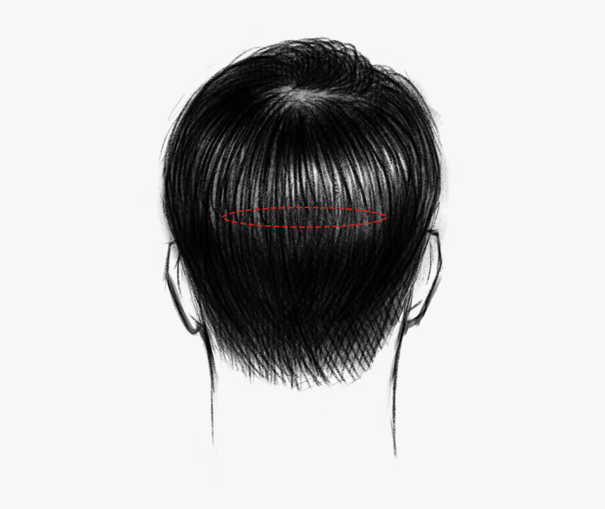 Lace Wig, HD Png Download