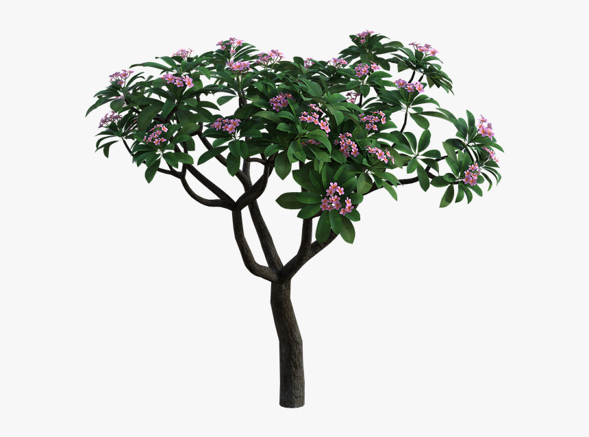 Stock Photography, HD Png Download