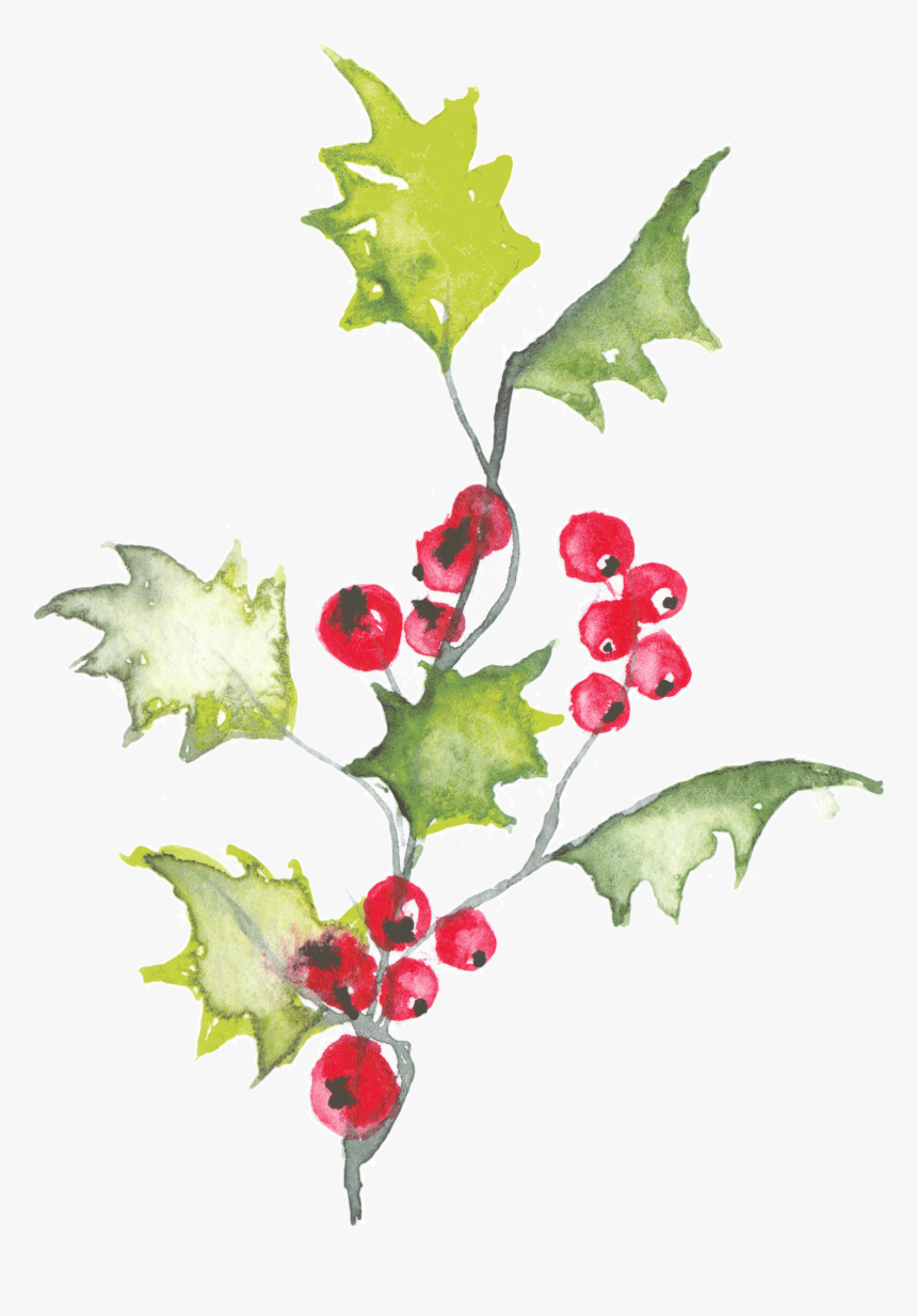 Holly Leaves Watercolor Png, Transparent Png