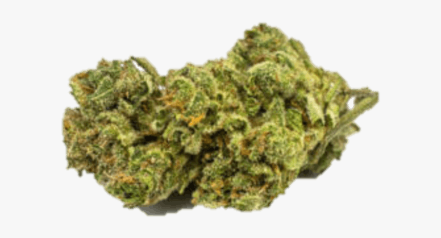 Moss, HD Png Download
