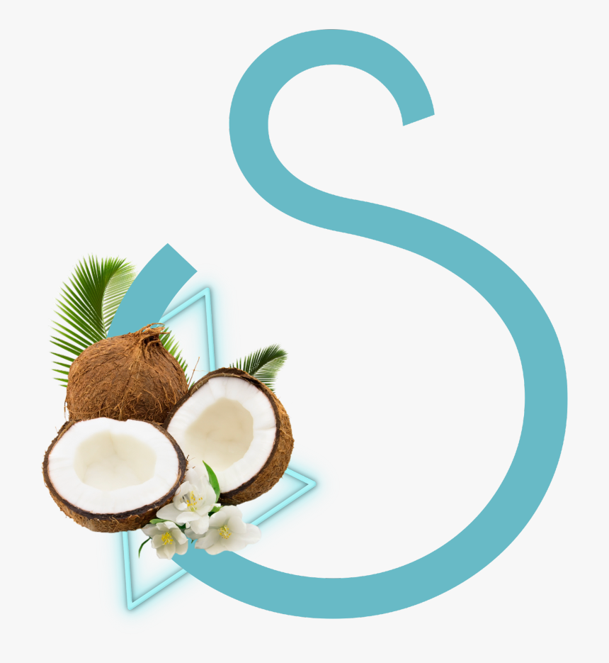 #freetoedit #s #letter #blue #coconut - Coconut, HD Png Download