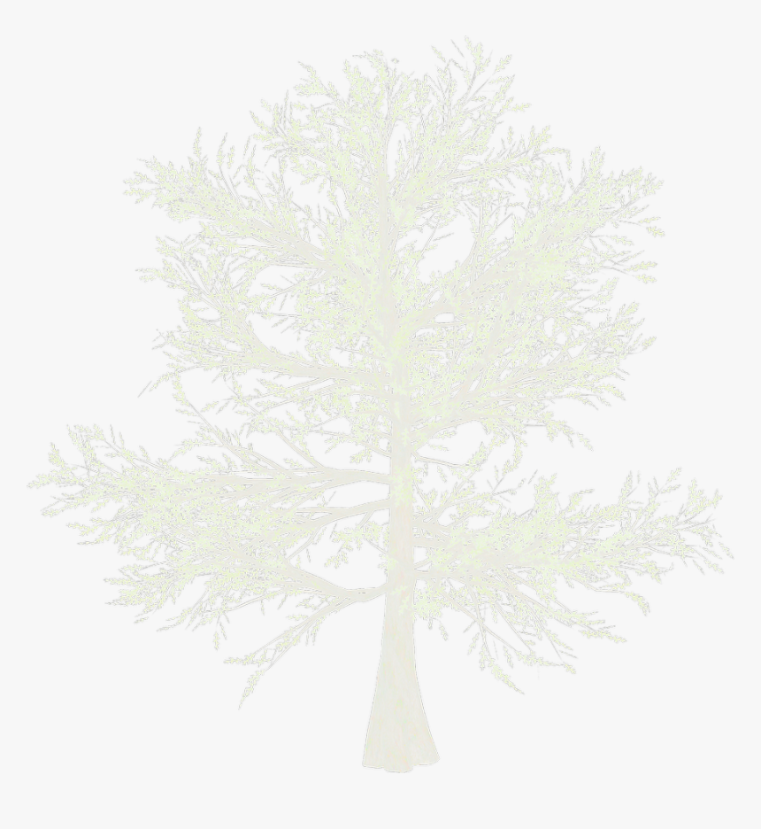 Night, HD Png Download