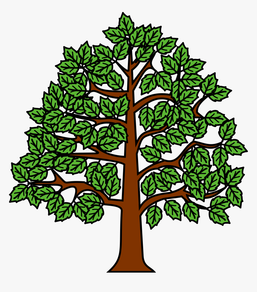 Meuble Hêtre Au Naturel - Tree Heraldry Wiki Commons, HD Png Download