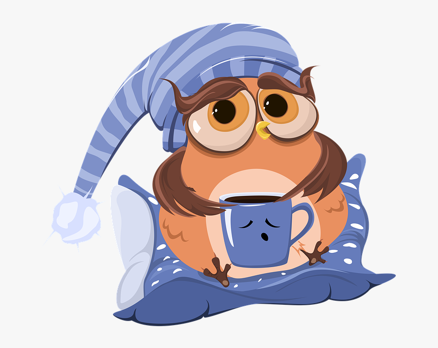 Coffee, Cup, Owl, Coffee Cup, Morning, Cartoon - Morning Coffee Cartoon Png, Transparent Png
