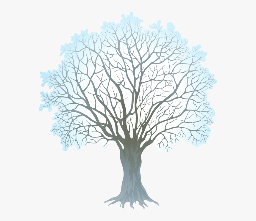 2016 Dbclipart Clipartall - Winter Tree Clipart, HD Png Download