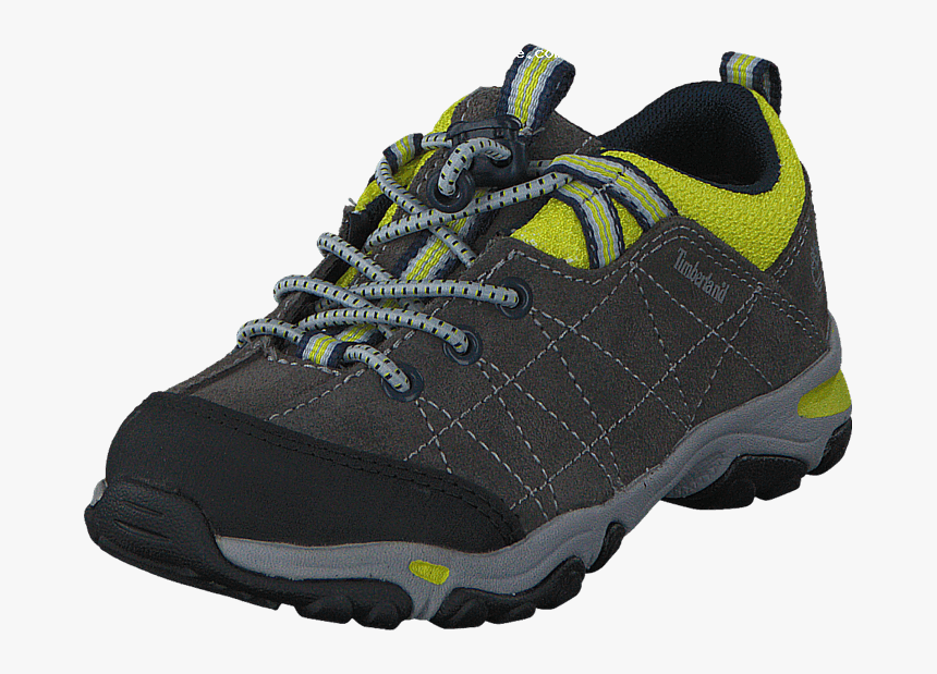 Running Shoe, HD Png Download