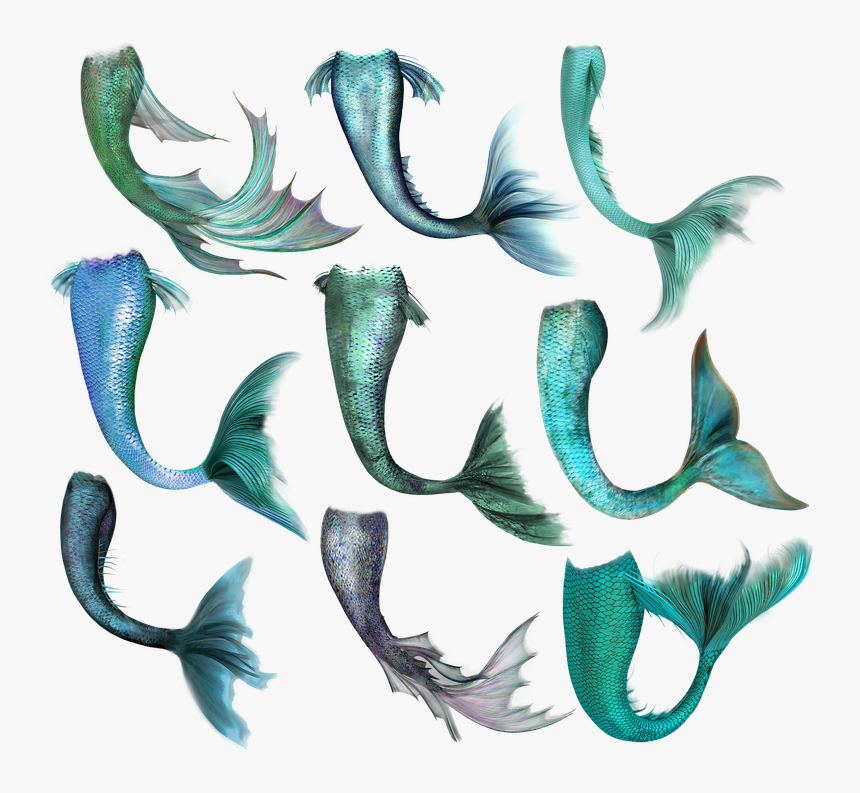 Mermaid, Fish, Tail, Merrow, Fantasy, Magic, Creature - Mermaid Tail Overlay, HD Png Download