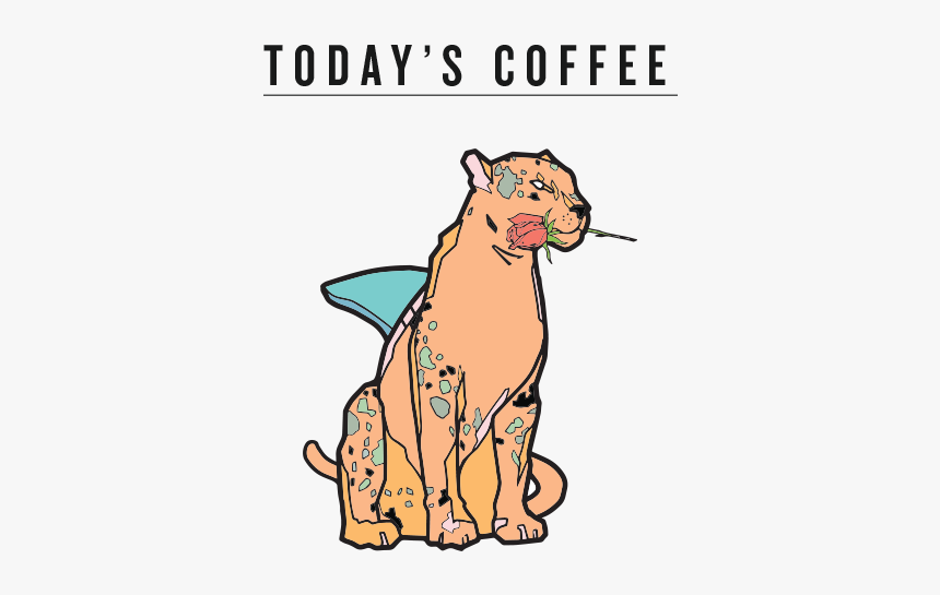 Todays Coffee V1 - Cartoon, HD Png Download