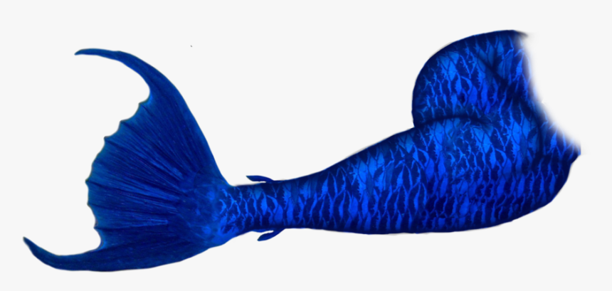 Fish Clipart Mermaid - Mermaid Tails Png, Transparent Png