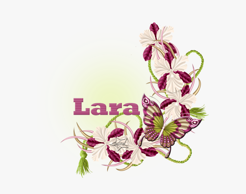 Nombres Con La Letra L - Orchids Of The Philippines, HD Png Download