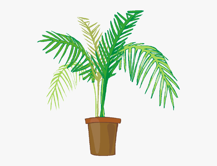 Indoor Potted Plants - Palm Plant Clip Art, HD Png Download