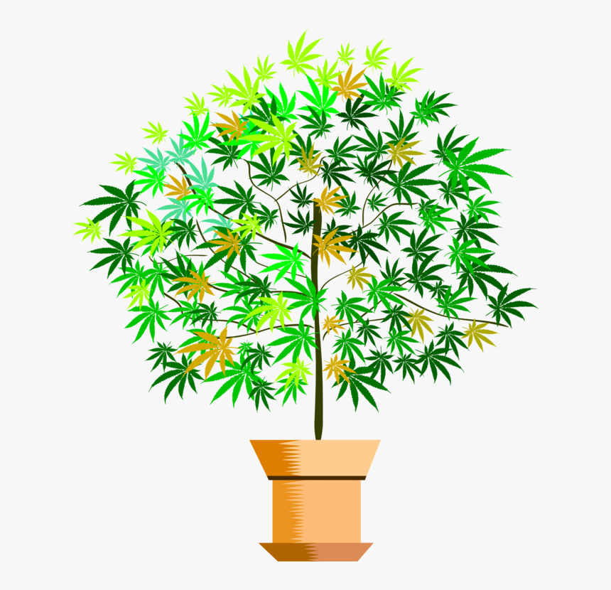 Plant,flower,leaf - Houseplant, HD Png Download