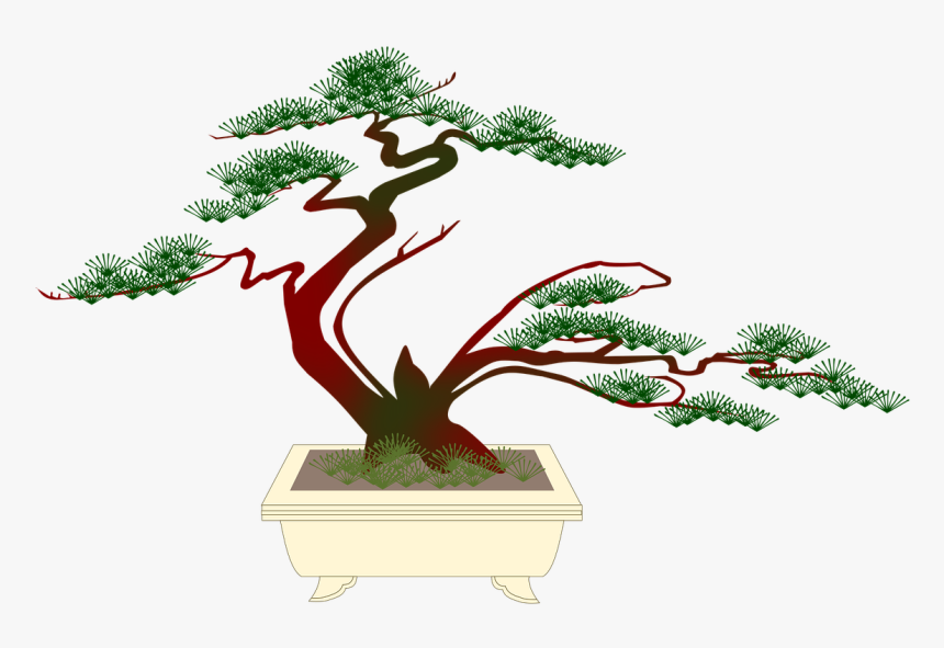 Bonsai Miniature Pine Free Picture - Bonsai, HD Png Download