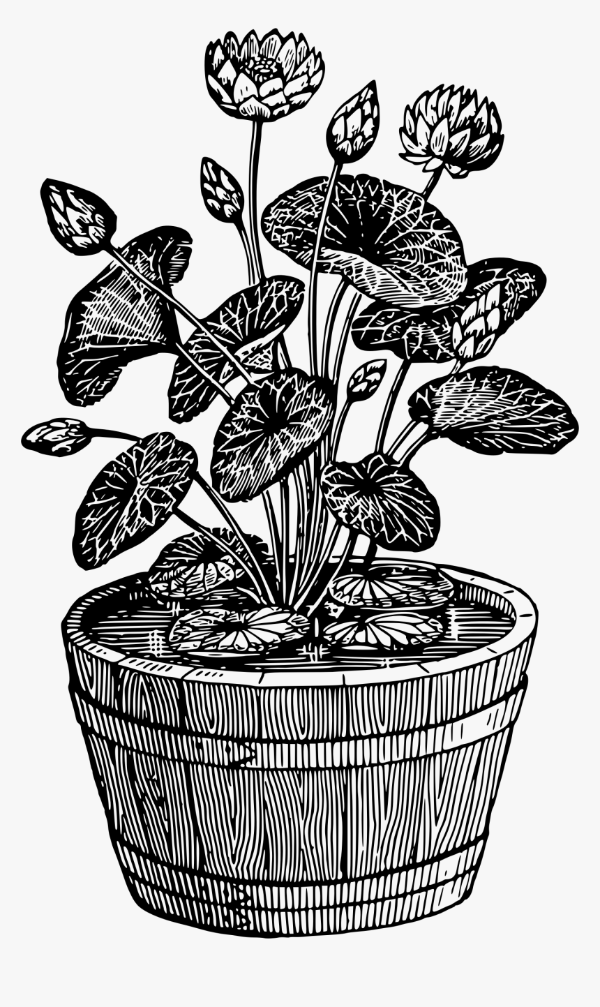 Potted Plant 10 Clip Arts - Black And White Potted Plant, HD Png Download