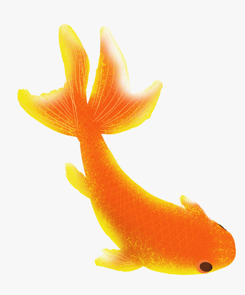 Transparent Fish Tail Png - Marine Biology, Png Download