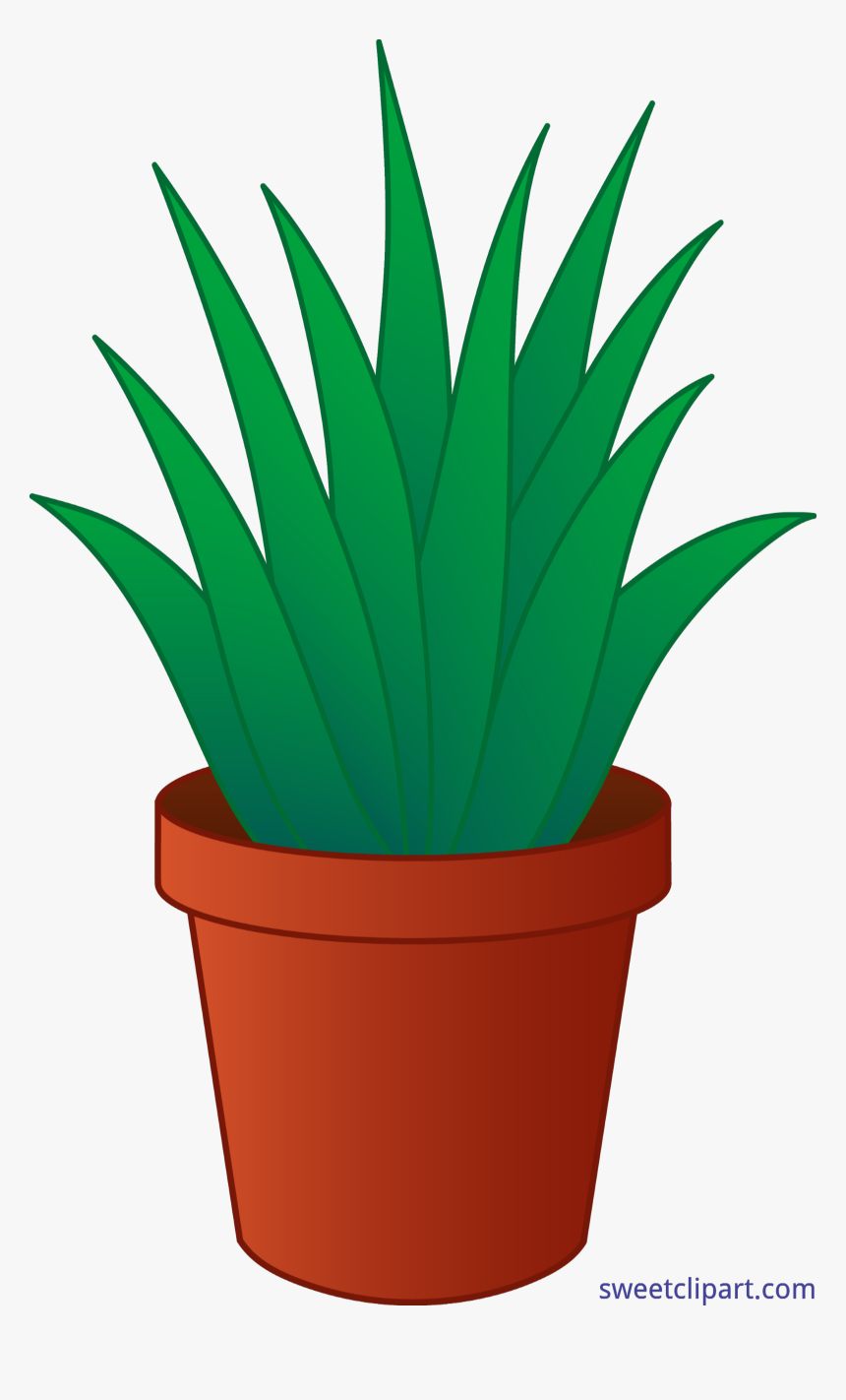 Pot Drawing At Getdrawings, HD Png Download