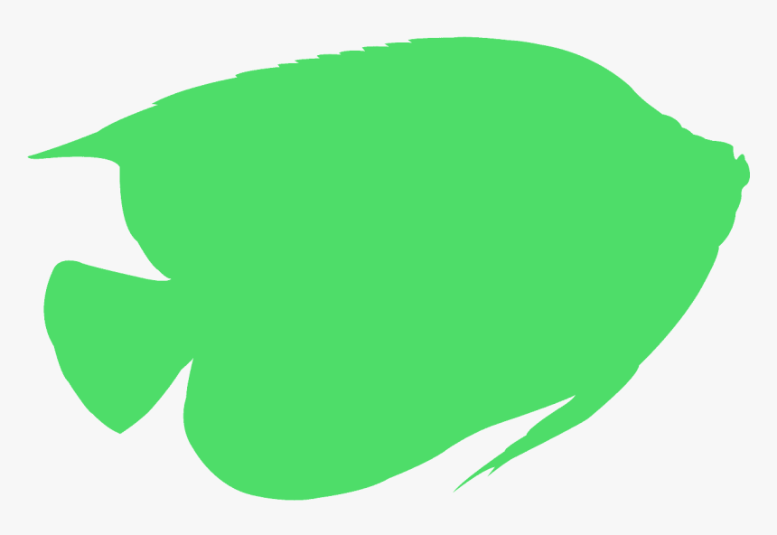 Angelfish Silhouette, HD Png Download