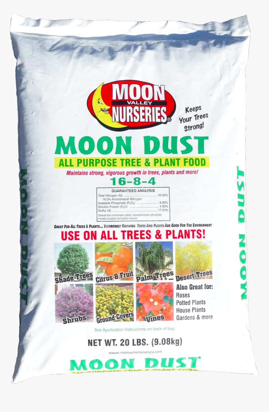 Potted Tree Png, Transparent Png