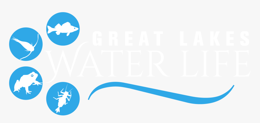 Go To Great Lakes Water Life Home Page, HD Png Download