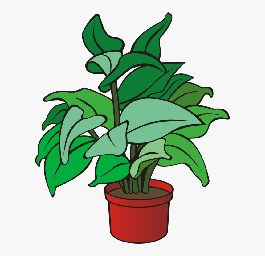Plant,flower,leaf - Clipart Of A Plant, HD Png Download