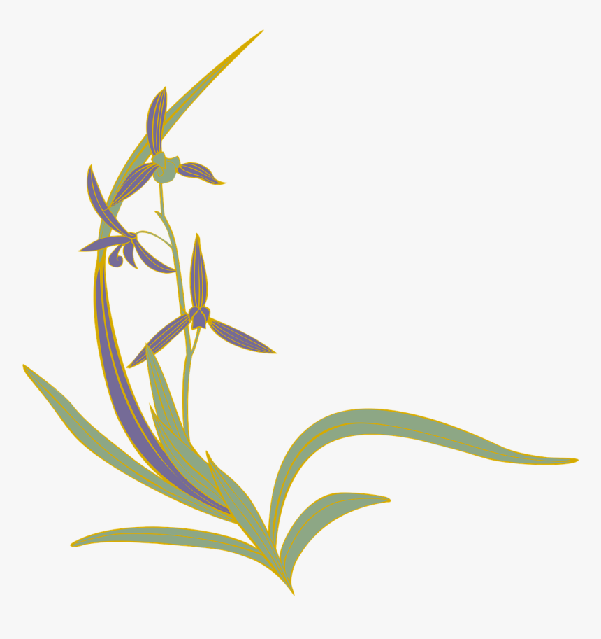 Orchids, HD Png Download