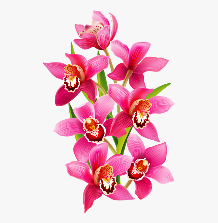 Tiny Clip Orchid, HD Png Download