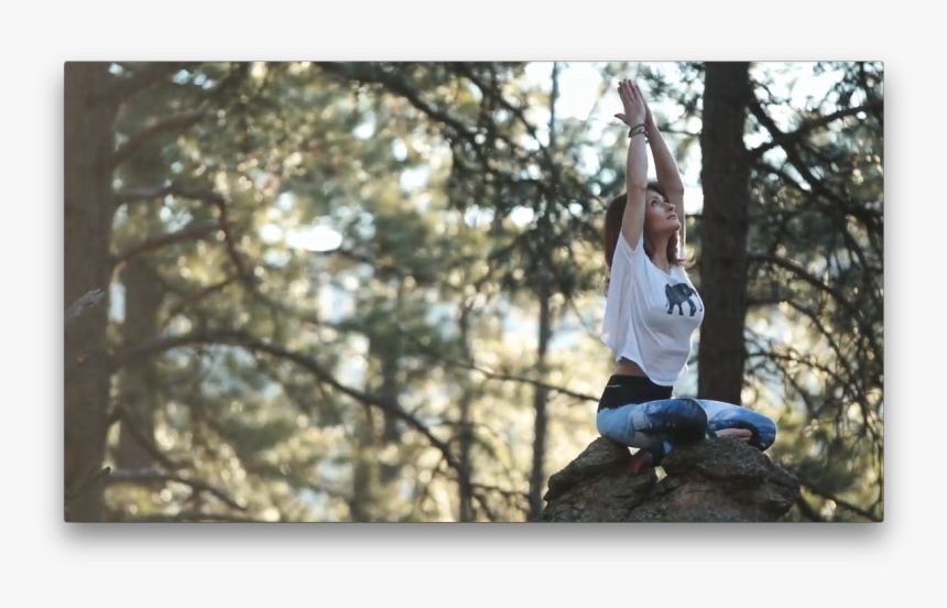 Tree Swing Png, Transparent Png