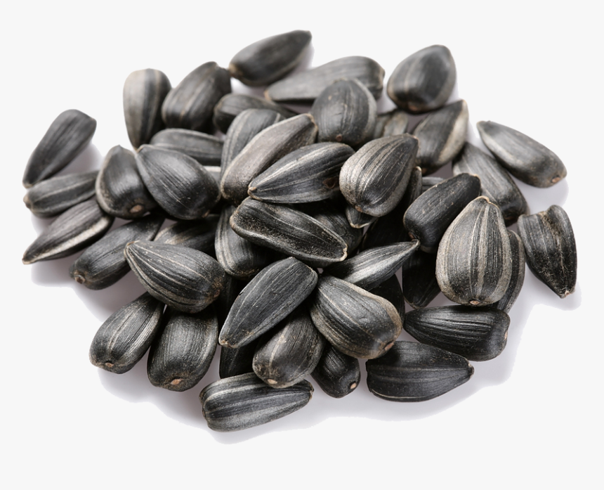 Download Sunflower Seeds Transparent - Transparent Background Sunflower Seeds Png, Png Download