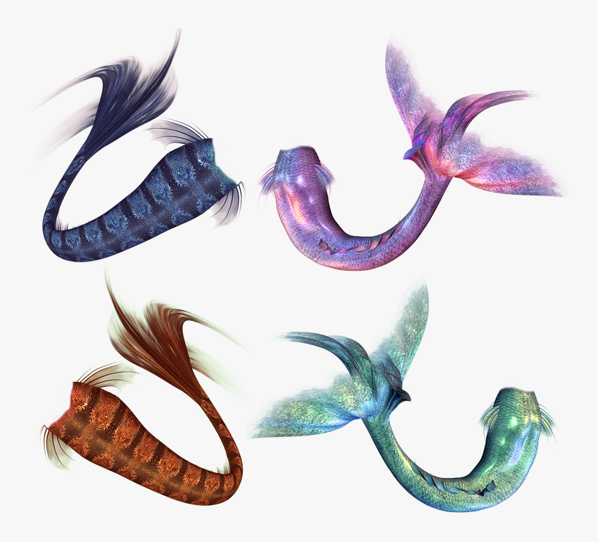 Mermaid, Mermaids, Tail, Fantasy, Fairytale, Fish - Mermaid Tail Fantasy, HD Png Download