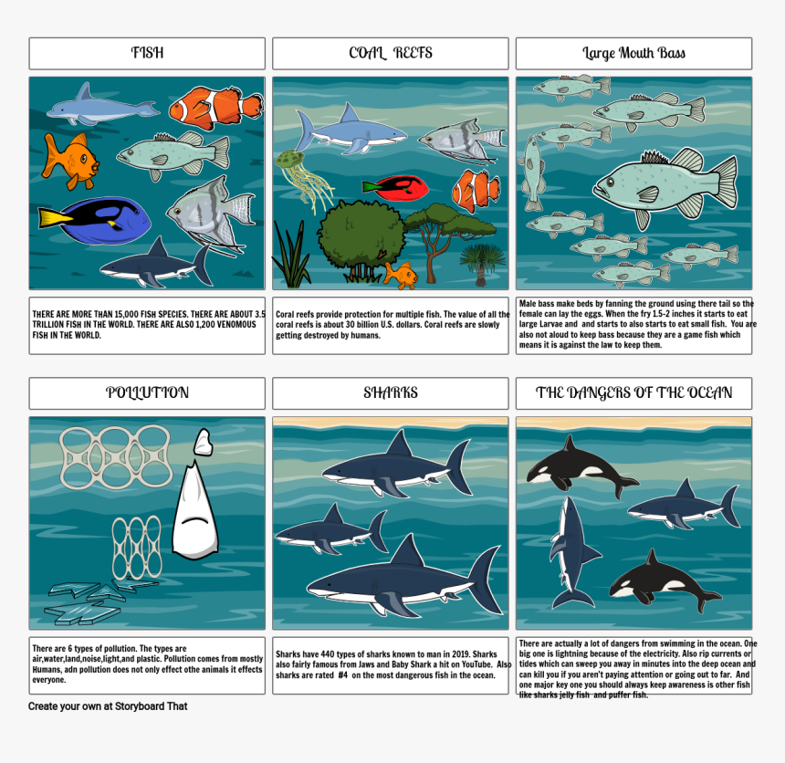 Shark, HD Png Download