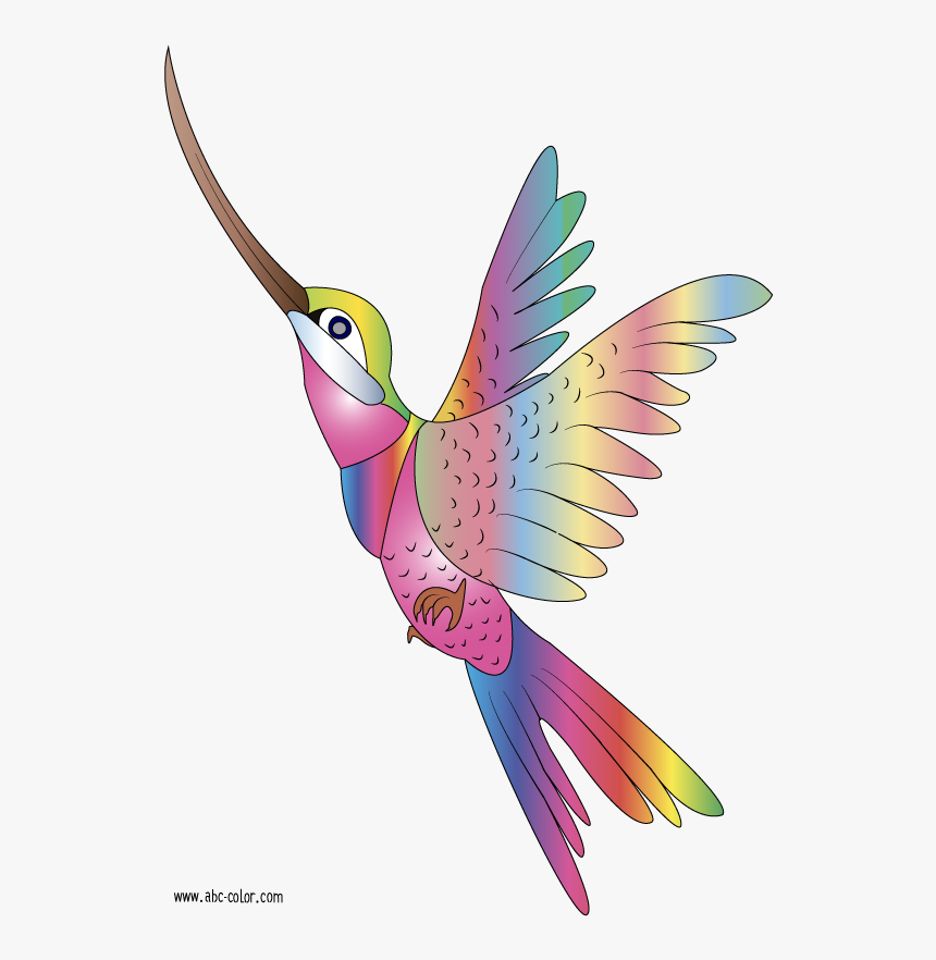 Hummingbird Clipart Embroidery Digitizing - Imágenes De Colibrí Animado, HD Png Download