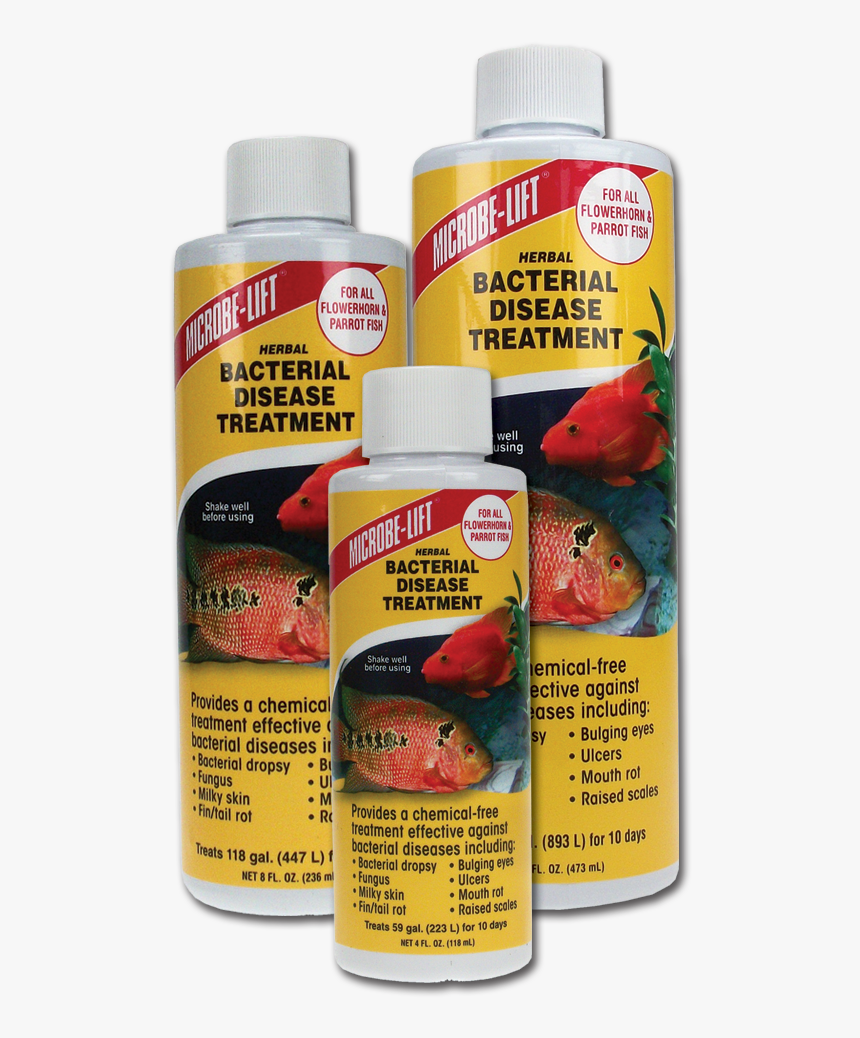 Beneficial Bacteria Aquarium, HD Png Download