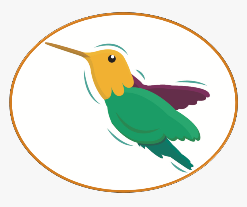 Ruby-throated Hummingbird, HD Png Download