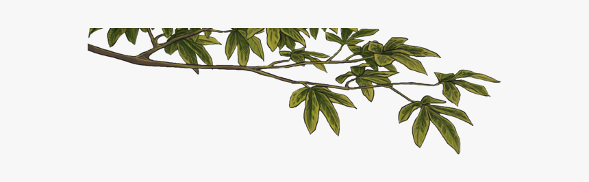 Clip Art, HD Png Download