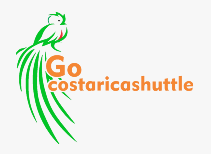 Cropped Logo Sin Fondo - Royal Ontario Museum, HD Png Download