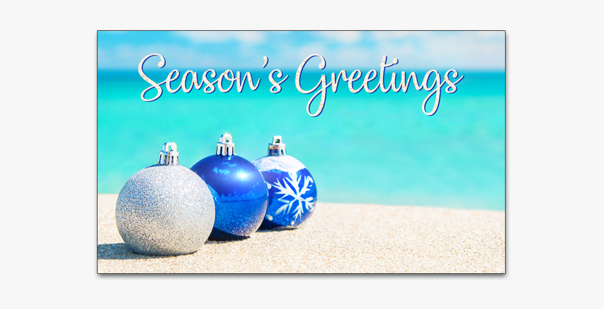 C477 - Blue Christmas Tree On The Beach, HD Png Download