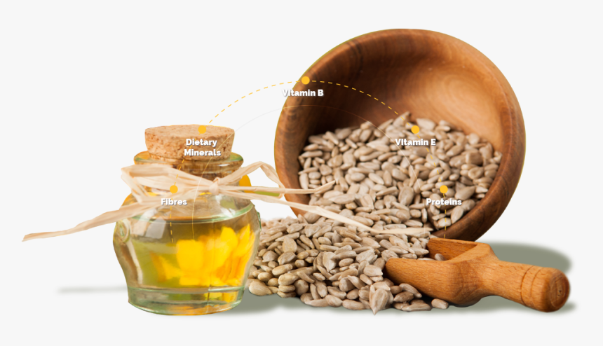 Bonoil Seeds, HD Png Download