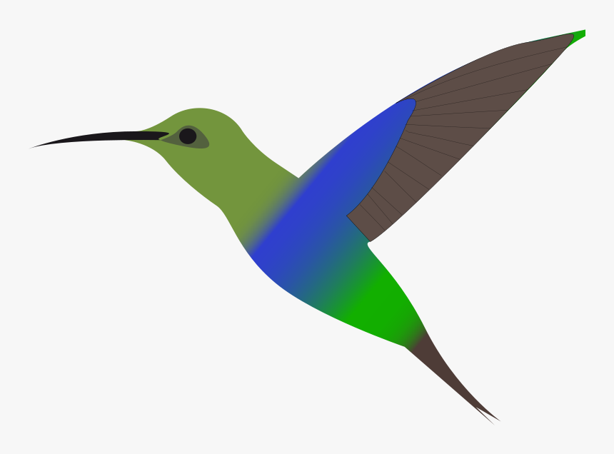 Humming-bird - Hummingbird Clipart, HD Png Download