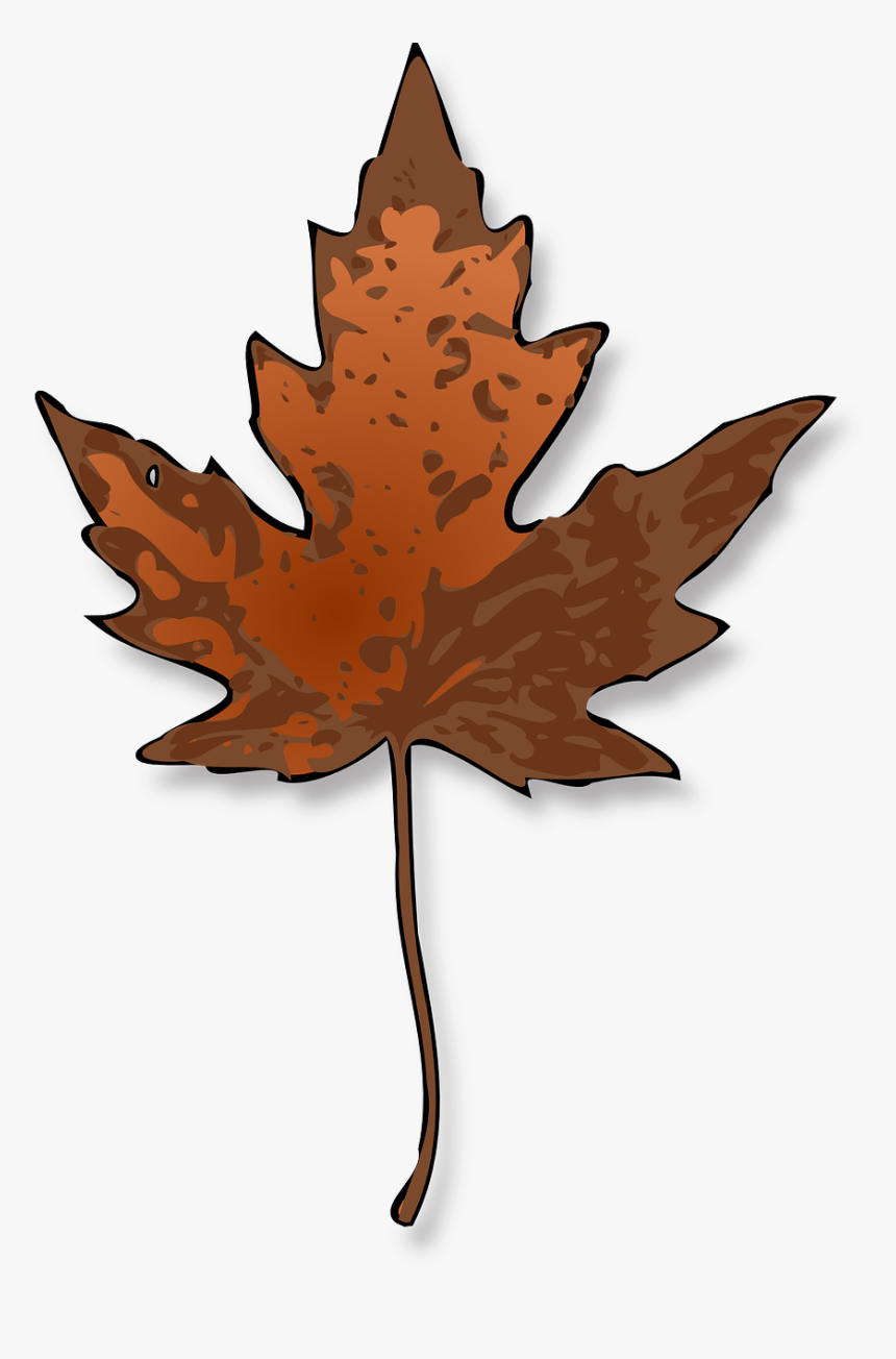 Maple Leaf Svg Free, HD Png Download