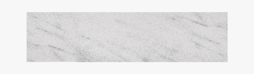 Bird, HD Png Download