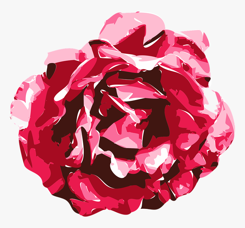Rose, Vector, Graphics, Drawing, Model, Texture, Red - Roses Graphics Png, Transparent Png