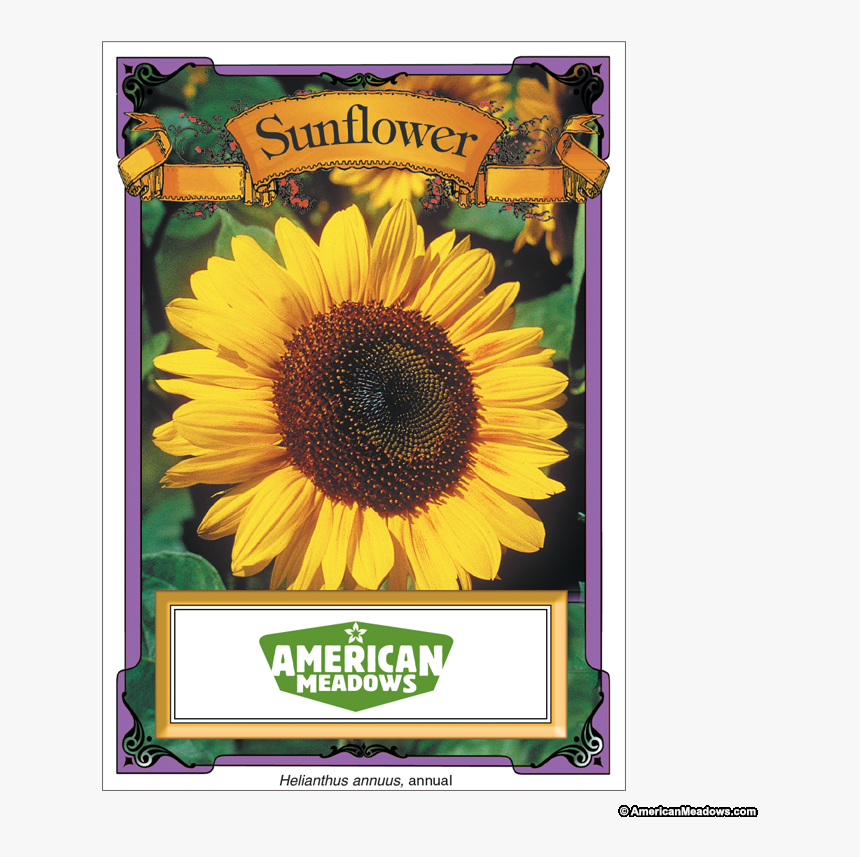 Sunflowers Png High Re - Packet Of Seeds, Transparent Png
