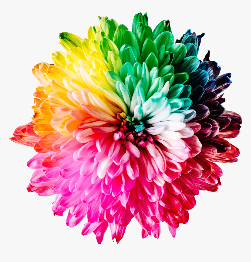 Wianki Nad Skawą Wadowice Gdzie Będą, HD Png Download